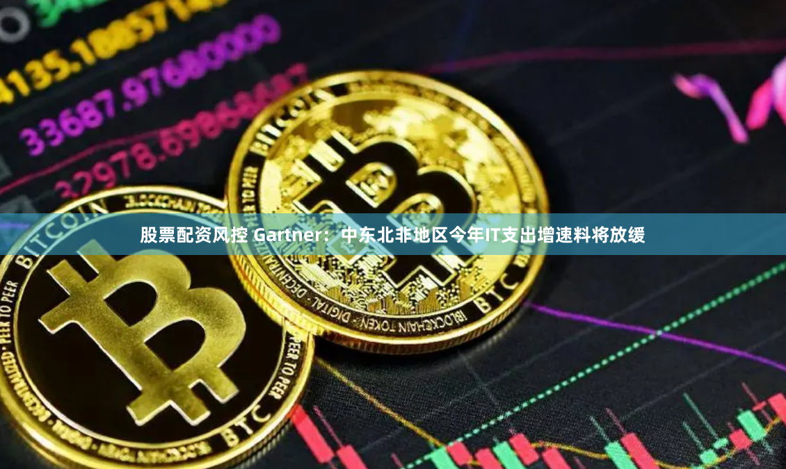 股票配资风控 Gartner：中东北非地区今年IT支出增速料将放缓