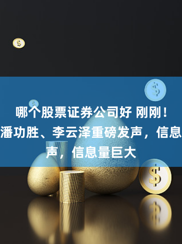 哪个股票证券公司好 刚刚！吴清、潘功胜、李云泽重磅发声，信息量巨大