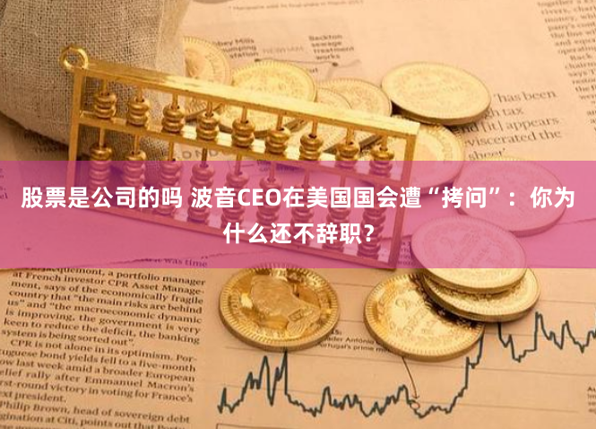 股票是公司的吗 波音CEO在美国国会遭“拷问”：你为什么还不辞职？