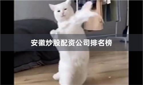 安徽炒股配资公司排名榜